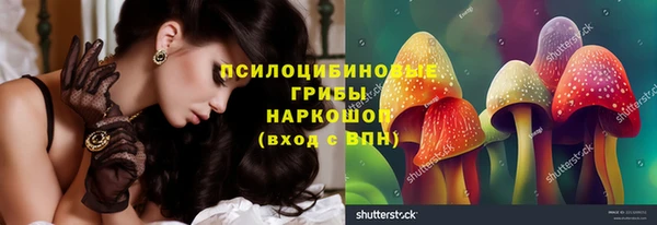 синтетический гашиш Ельня