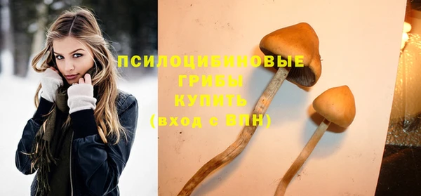 мет Елабуга