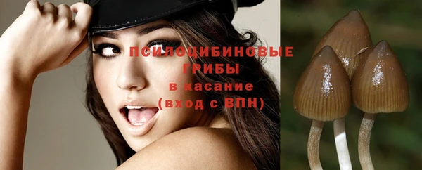 ГАЛЛЮЦИНОГЕННЫЕ ГРИБЫ Приозерск