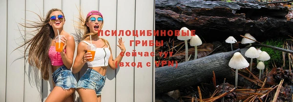 синтетический гашиш Ельня