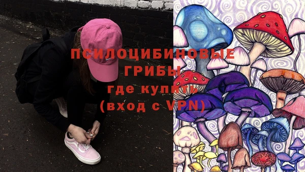 мет Елабуга